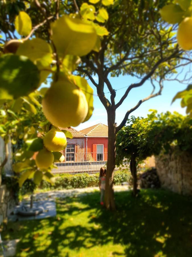 فندق Porto Alegria Garden المظهر الخارجي الصورة